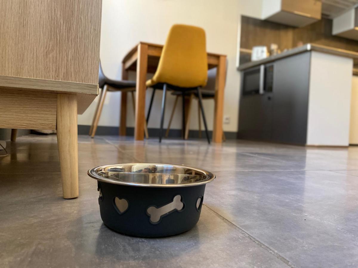Exceptionnel ! Superbe Appartement Refait A Neuf En Rez-De-Chaussee Avec Parking Prive Castres  Exteriér fotografie